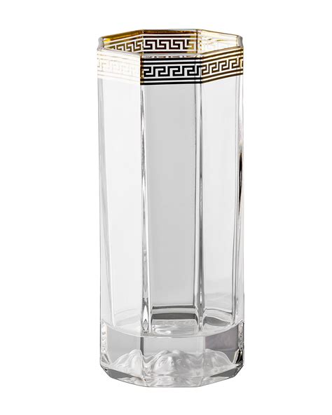 versace drinking glasses